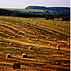 Straw bales